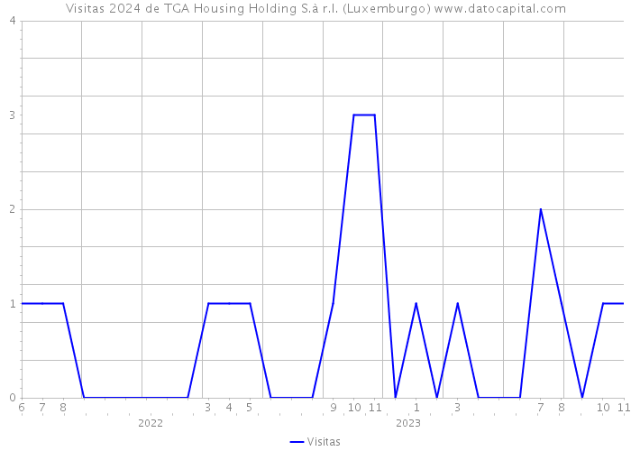 Visitas 2024 de TGA Housing Holding S.à r.l. (Luxemburgo) 