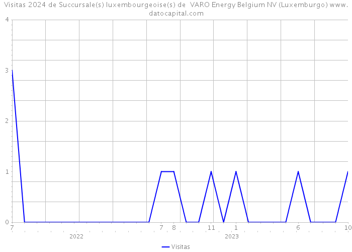 Visitas 2024 de Succursale(s) luxembourgeoise(s) de VARO Energy Belgium NV (Luxemburgo) 