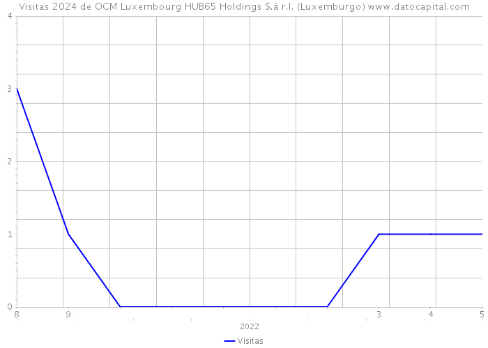 Visitas 2024 de OCM Luxembourg HUB65 Holdings S.à r.l. (Luxemburgo) 