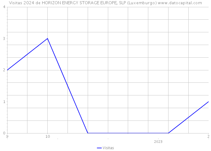 Visitas 2024 de HORIZON ENERGY STORAGE EUROPE, SLP (Luxemburgo) 