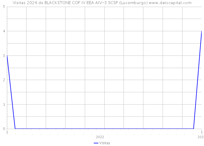 Visitas 2024 de BLACKSTONE COF IV EEA AIV-3 SCSP (Luxemburgo) 