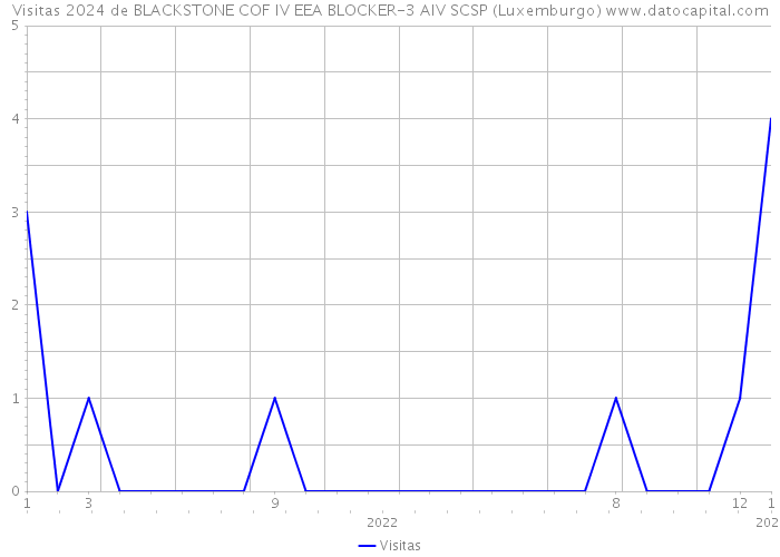 Visitas 2024 de BLACKSTONE COF IV EEA BLOCKER-3 AIV SCSP (Luxemburgo) 