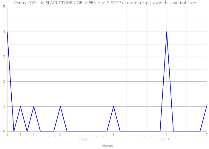Visitas 2024 de BLACKSTONE COF IV EEA AIV-2 SCSP (Luxemburgo) 