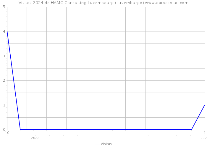 Visitas 2024 de HAMC Consulting Luxembourg (Luxemburgo) 