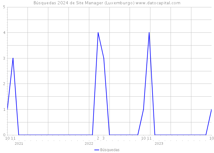 Búsquedas 2024 de Site Manager (Luxemburgo) 