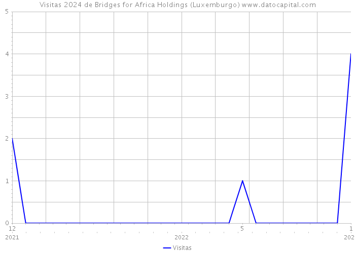 Visitas 2024 de Bridges for Africa Holdings (Luxemburgo) 
