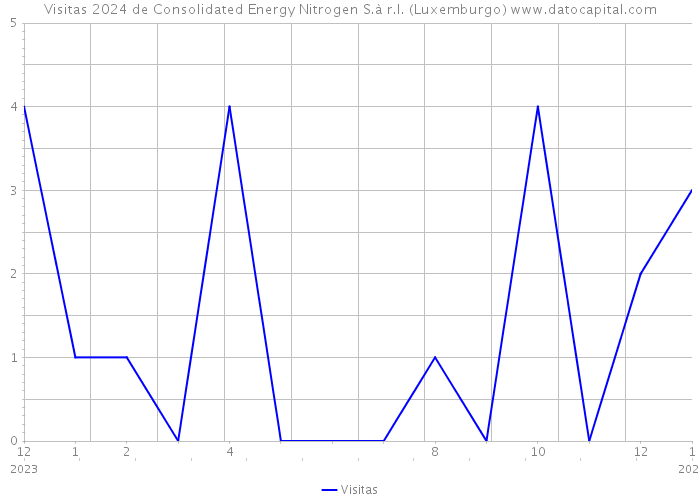 Visitas 2024 de Consolidated Energy Nitrogen S.à r.l. (Luxemburgo) 