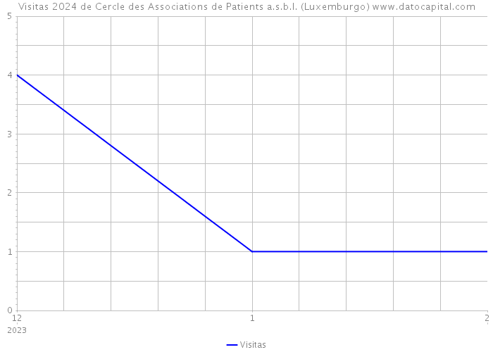 Visitas 2024 de Cercle des Associations de Patients a.s.b.l. (Luxemburgo) 