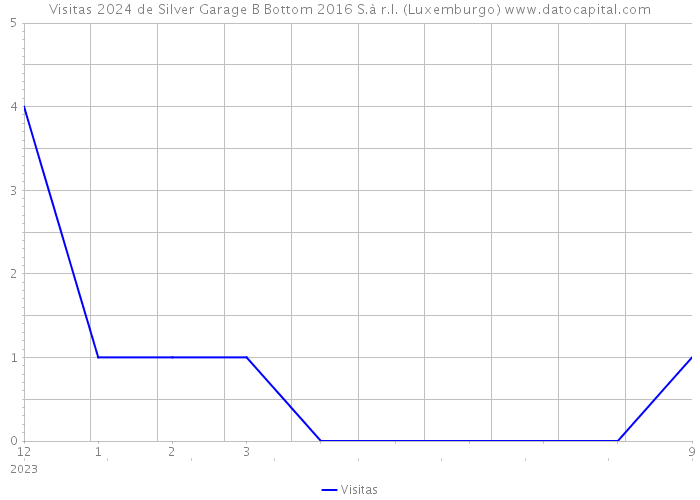 Visitas 2024 de Silver Garage B Bottom 2016 S.à r.l. (Luxemburgo) 