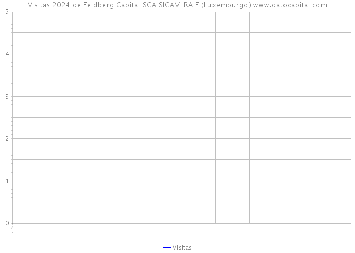 Visitas 2024 de Feldberg Capital SCA SICAV-RAIF (Luxemburgo) 