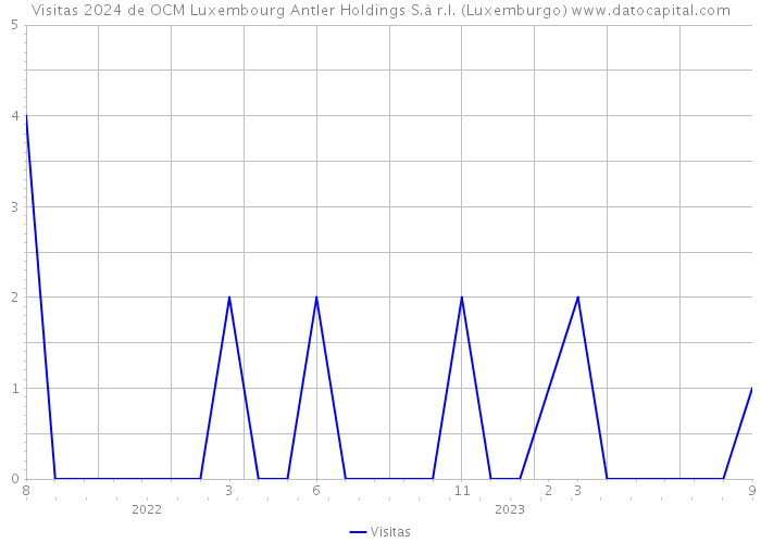 Visitas 2024 de OCM Luxembourg Antler Holdings S.à r.l. (Luxemburgo) 