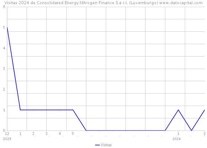 Visitas 2024 de Consolidated Energy Nitrogen Finance S.à r.l. (Luxemburgo) 